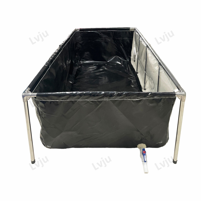 Marine Aquarium With Sump - Lvju 물고기 수족관 탱크, 수생 양식