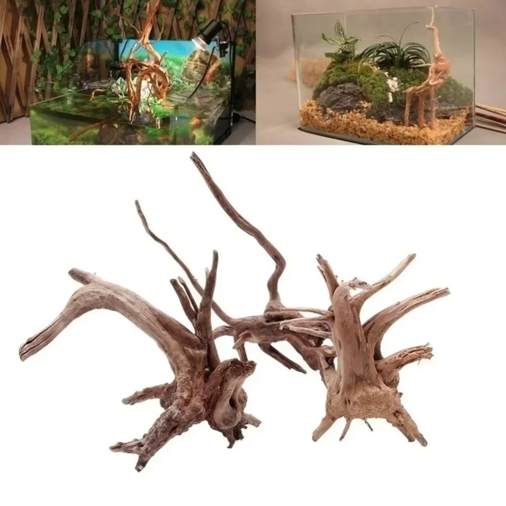Aquarium Marine Tank - (15-20cm) 천연 유목 수족관 장식 -