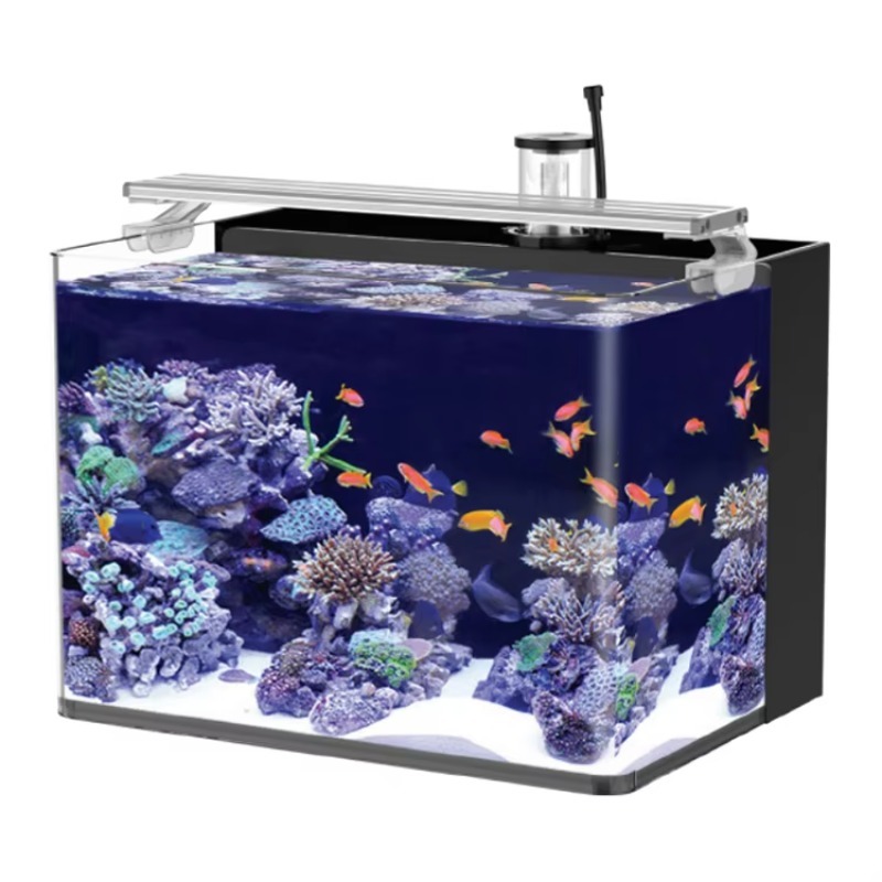 Marine Aquarium With Sump - 테이블형 곡선형 해수어 수족관, 거실, 침실,