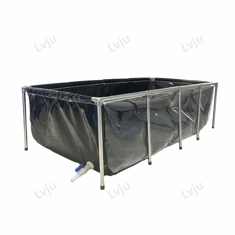 Lvju 물고기 수족관 탱크, 수생 양식 사육, 물고기 - Marine Aquarium With Sump 리뷰 및 가격