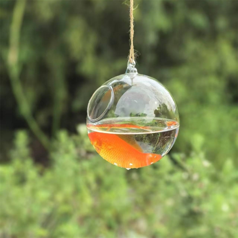작은 포장 직경=10cm 12cm 15cm 20cm 투 - Aquarium & Marine Museum 리뷰 및 가격