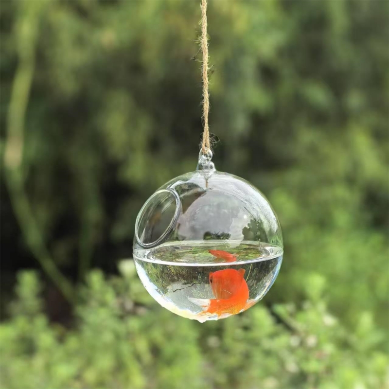 작은 포장 직경=10cm 12cm 15cm 20cm 투 - Aquarium & Marine Museum 리뷰 및 가격