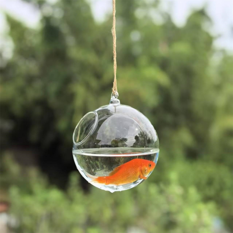 작은 포장 직경=10cm 12cm 15cm 20cm 투 - Aquarium & Marine Museum 리뷰 및 가격