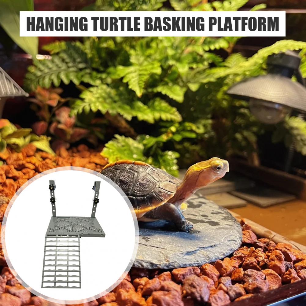 수족관 장식용 고형형 거치형 거북이 일광욕 플랫폼, 흡 - Aquarium Marine Tank 리뷰 및 가격