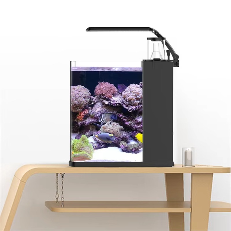 테이블형 곡선형 해수어 수족관, 거실, 침실, 사무실용 - Marine Aquarium With Sump 리뷰 및 가격