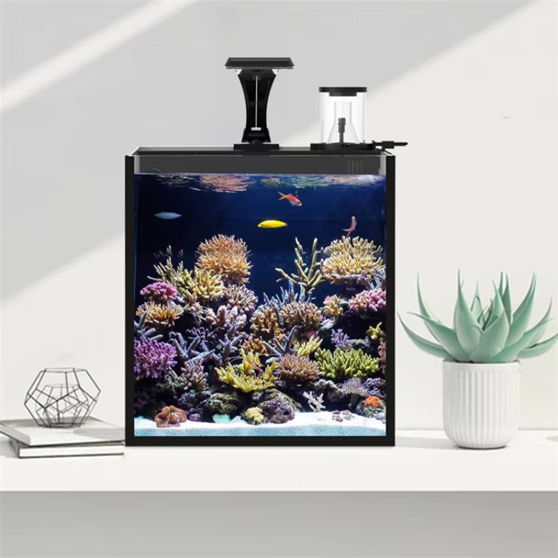 테이블형 곡선형 해수어 수족관, 거실, 침실, 사무실용 - Marine Aquarium With Sump 리뷰 및 가격